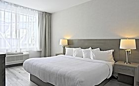 Repotel Levis